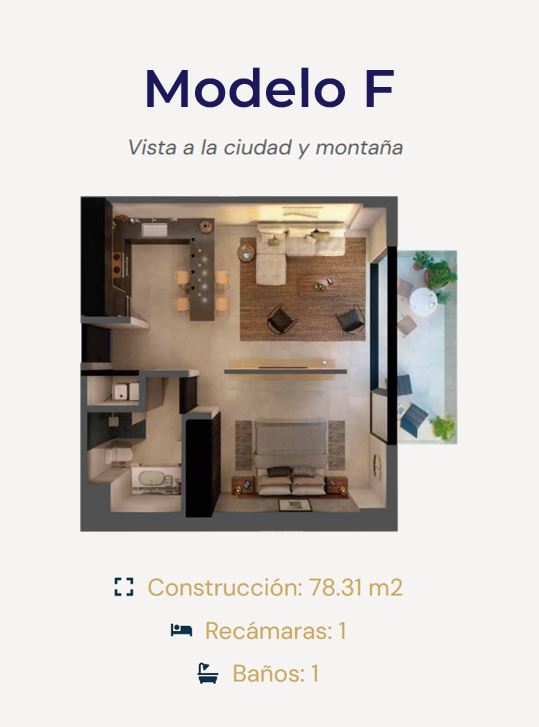 MODELO F